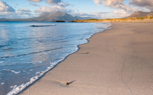 Doolin Village Lodges