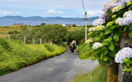 Cottage 310 – Renvyle