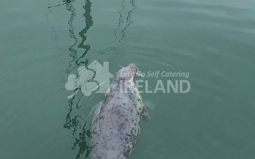 Bluebell Cottage, Kilmore Quay