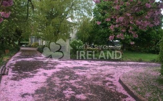 Blanchville Coach Houses