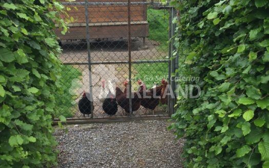 Blanchville Coach Houses
