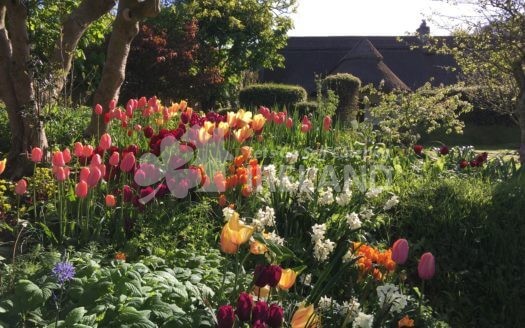 The Apple Loft Cottage