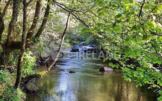 Penarwel, Ballinaclash, Rathdrum, Co. Wicklow