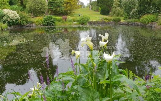 Glendale Holiday Cottages