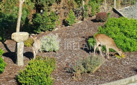 Glendale Holiday Cottages