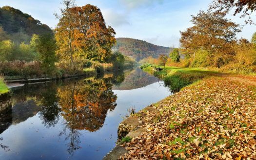 Mount Brandon Cottage No.1