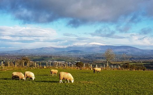 Mount Brandon Cottage No.1