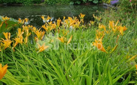 Glendale Holiday Cottages