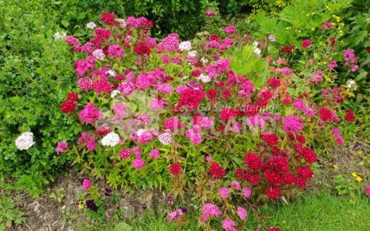 Glendale Holiday Cottages