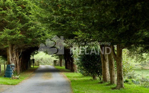 Mount Brandon Cottage No.1