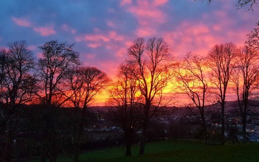 Mount Brandon Cottage No.1