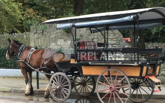 Beautiful Killarney Apartment, Woodlawn Rd.