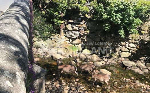 Moore Bay Holiday Village