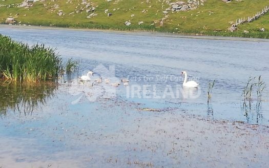 Carrickfinn Holiday Cottage