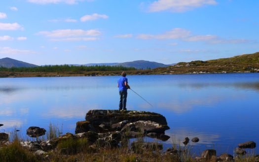 The Stables West Cork