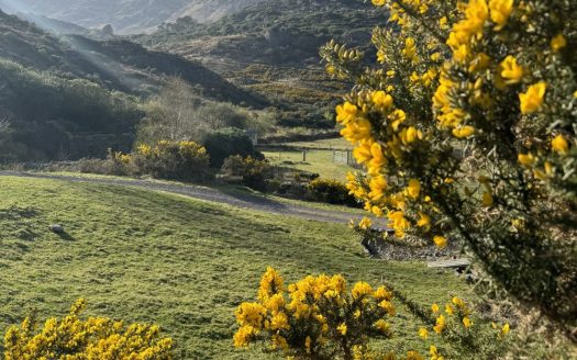 Little Heaven Glengarriff