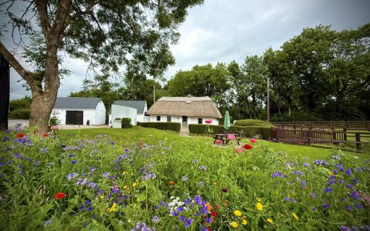 MURPHY’S THATCHED COTTAGE