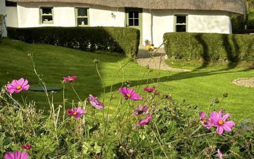 MURPHY’S THATCHED COTTAGE