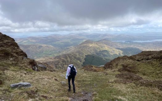 Little Heaven Glengarriff
