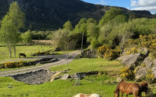 Little Heaven Glengarriff